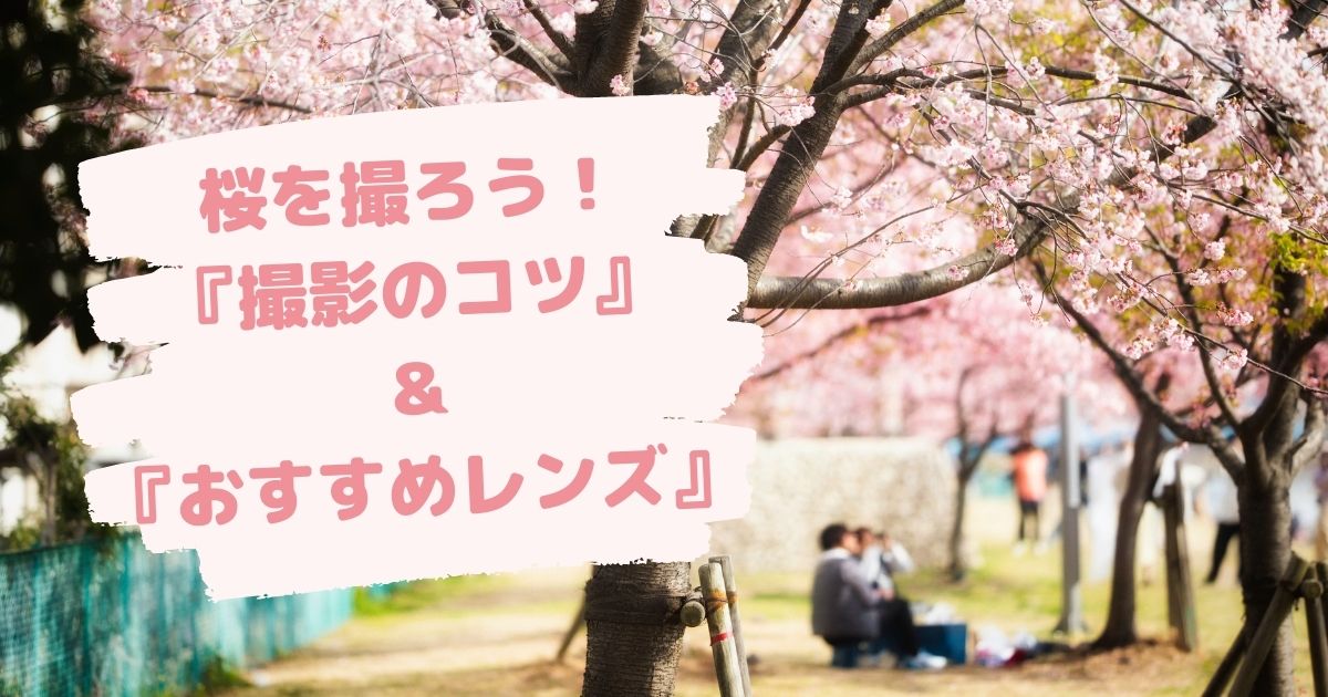 桜を撮ろう！『撮影のコツ』＆『おすすめレンズ』